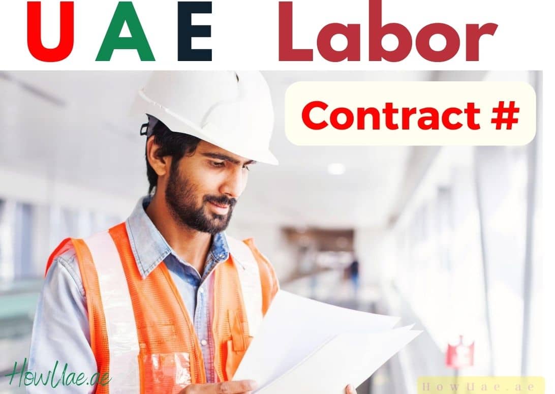 How To Check Labour Contract Online In Uae