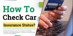 How_to_Check_Your_Car_Insurance_Status_Online_in_UAE