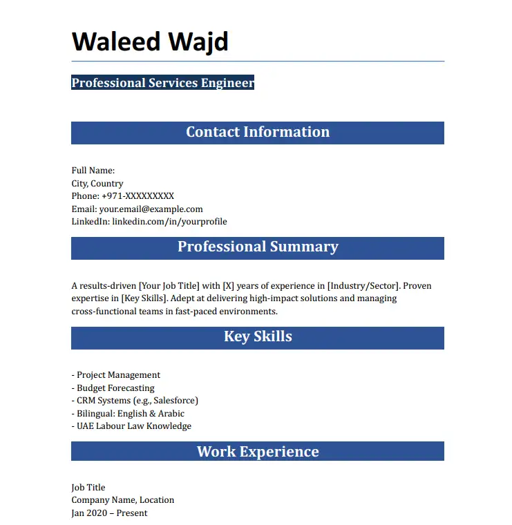CV Format for Dubai 1