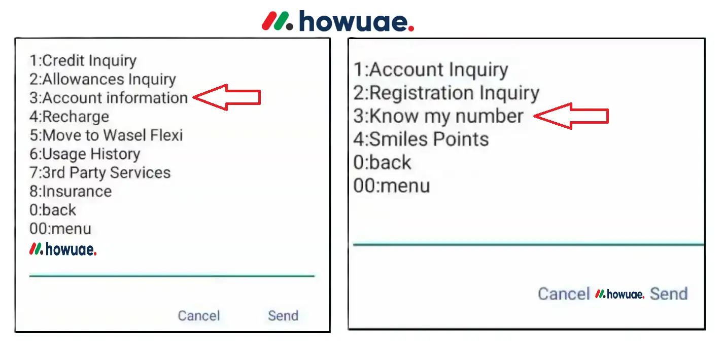 step-3-and-4-to-check-etisalat-balance